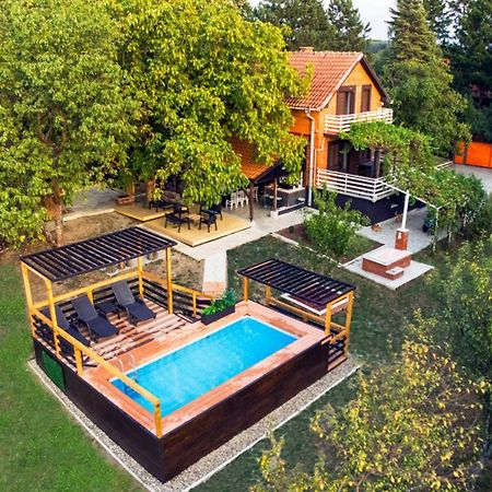 בלגרד Villa Dijana - Pool, Spa, Outdoor Kitchen מראה חיצוני תמונה