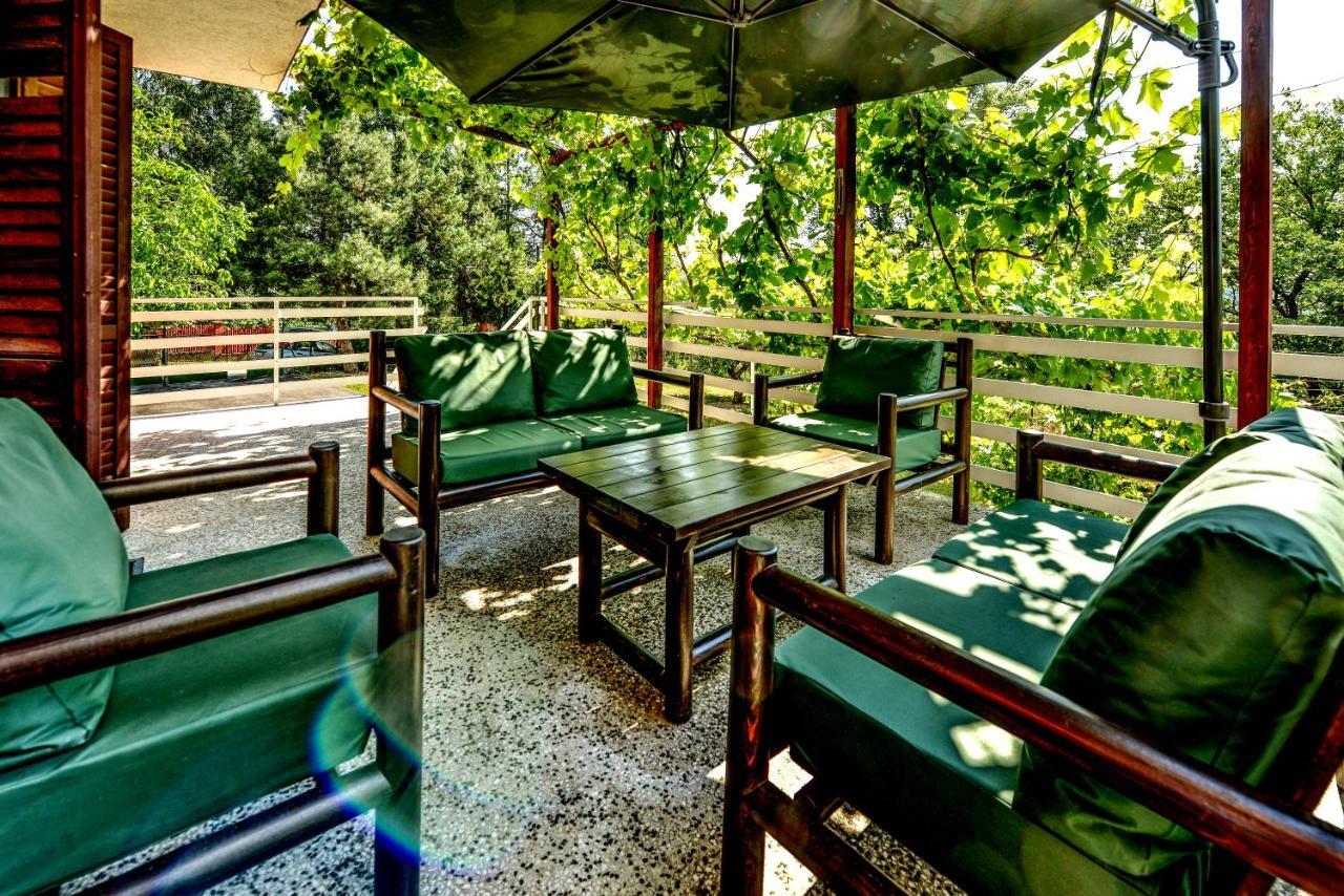 בלגרד Villa Dijana - Pool, Spa, Outdoor Kitchen מראה חיצוני תמונה